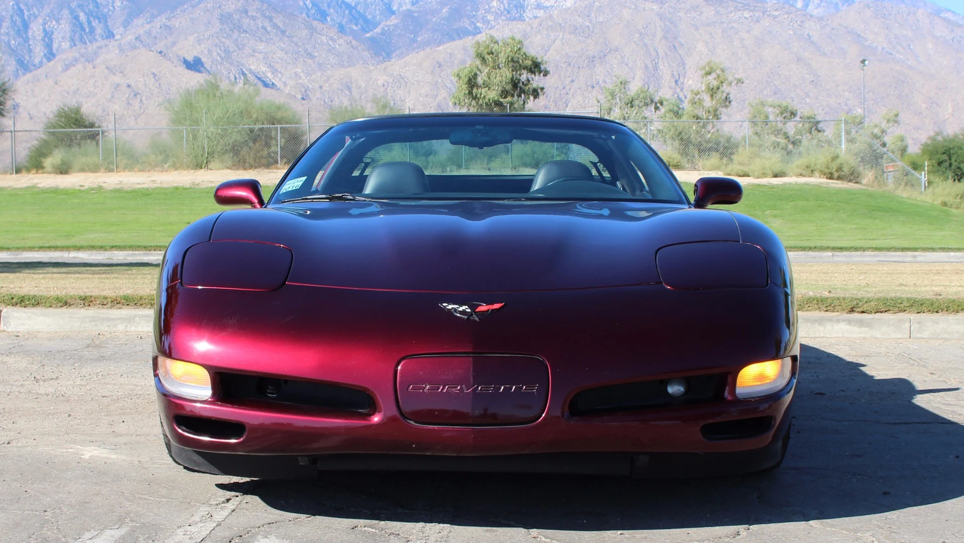 Click to Enlarge-Esc to Close Corvette Generations/C5/C5 1998 Purple front.webp